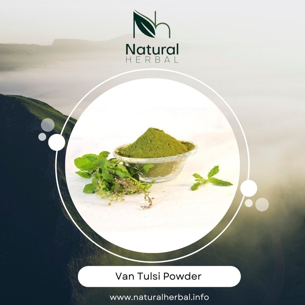 Natural Herbal Van Tulsi Powder
