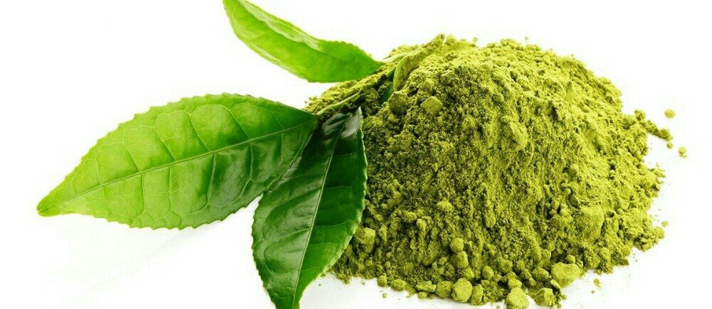 KR Enterprises Green Tulsi Powder, Packaging Type: Pouch, Bag, Packet