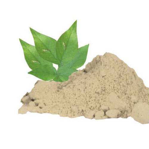 Bael Patra Powder, Packaging Size: 5 Kg, Packaging Type: PP Bag