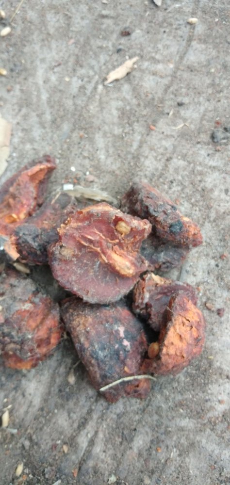 Bael Powder, 25 kg