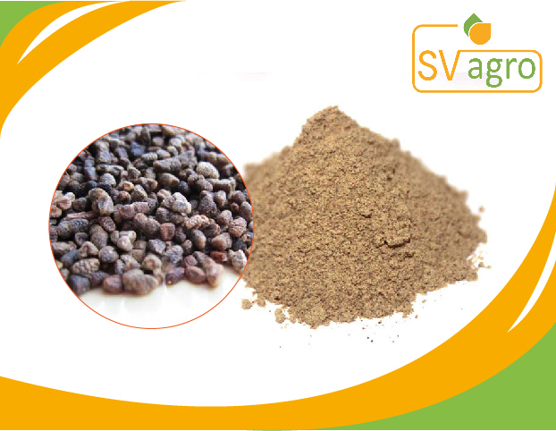 Jamun Seed Powder, 200 GM