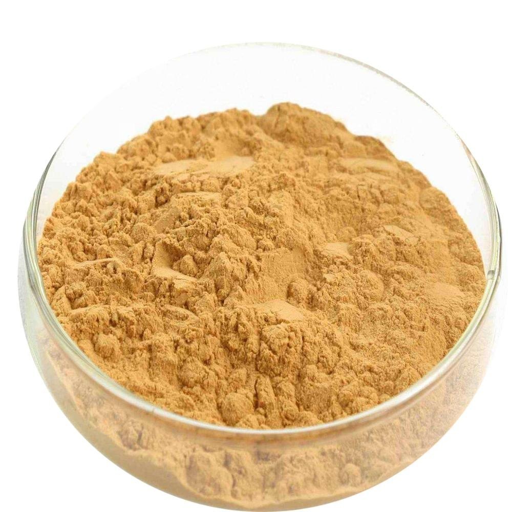 Soya Lecithin Powder