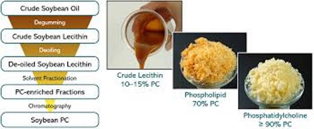 Soya Lecithin Powder, 25, Treatment: Pharma Nutraceuticals