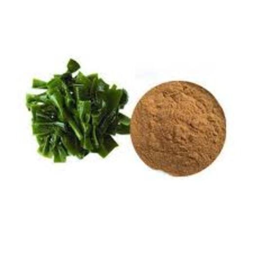 Junior Industries Kelp Extract Powder, 250 Gm