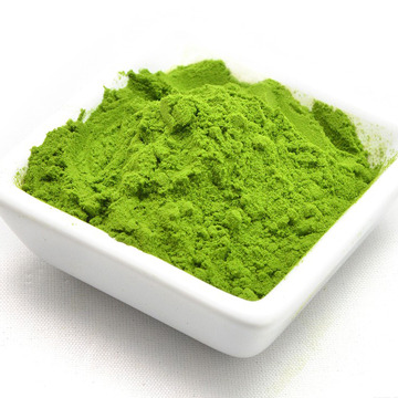 Alfalfa Leaves Powder