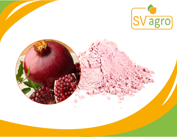 Light Red Spray Dried Pomegranate Powder