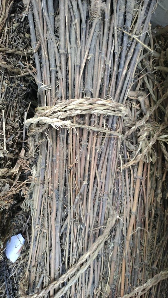 Dry Natural Chirata, Packaging Size: 5 Kg