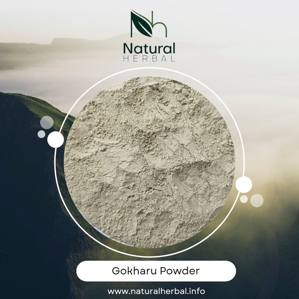 Natural Herbal Gokhru Seed Powder, 5/10/25/50 kg Hdpe Bag, Non prescription