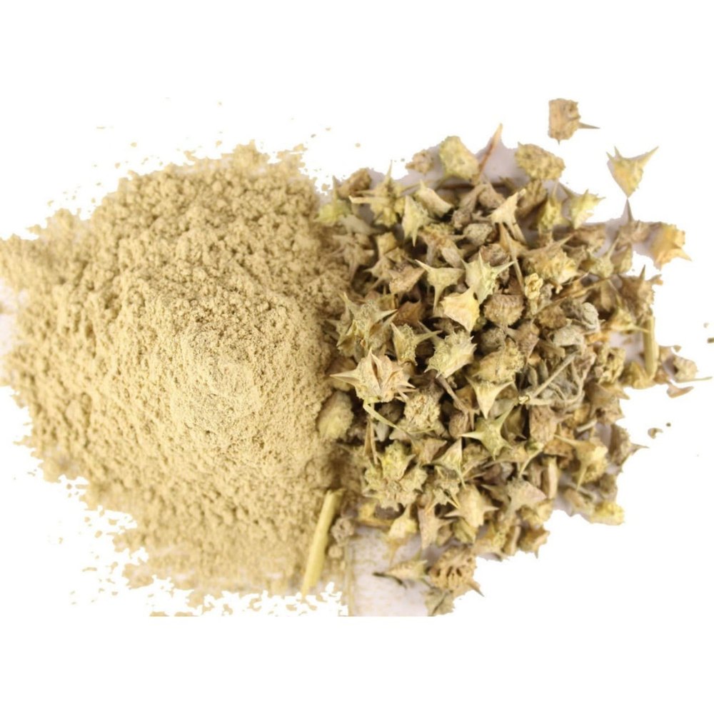 Gokshura Powder, Non prescription, Treatment: Treats Urinary Disorders