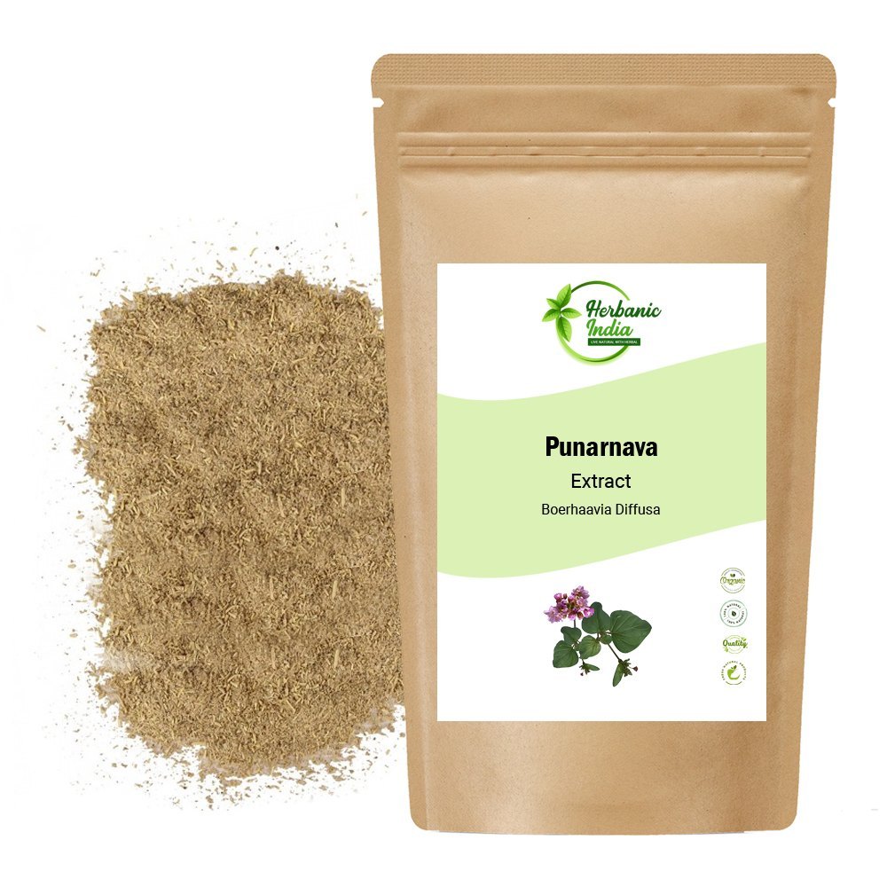 Punarnava / Boerhaavia Diffusa Extract, 25 kg