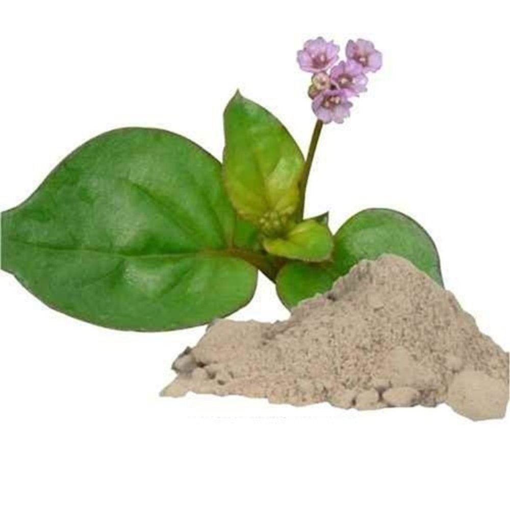 Herbo Nutra Brown Punarnava Extract Powder, Packaging Size: 25 Kg, Packaging Type: Hdpe Drum