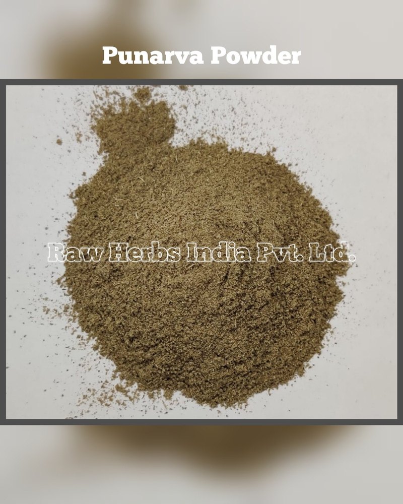 PUNARNAVA ROOTS POWDER - SANTHI JADD POWDER - BOERHAVIA DIFFUSA