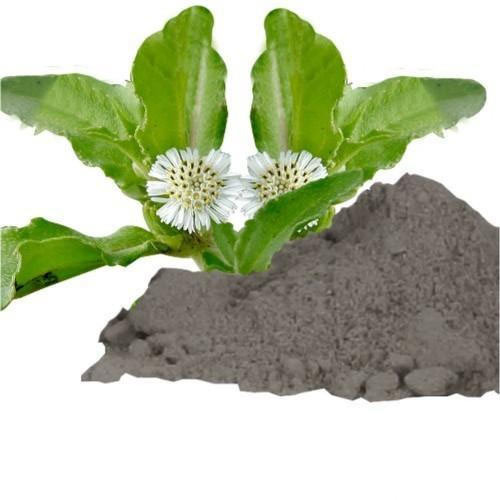 Bhringraj Leaf Powder