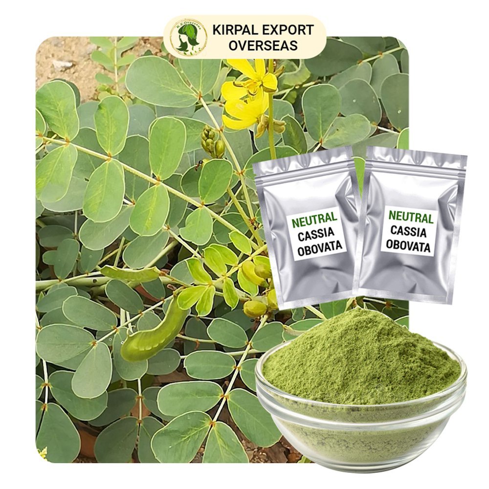 Cassia Obovata Leaves Powder, Packaging Size: 100 gm