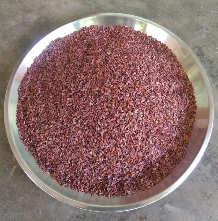 Anantmool Seed(Hemidesmus indicus ), 1 kg