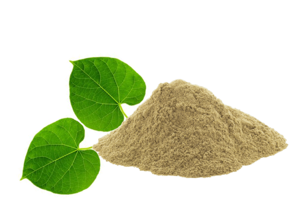 Giloy Powder-Heart-Leaved Moonseed(Tinospora Cordifolia), 50 kg