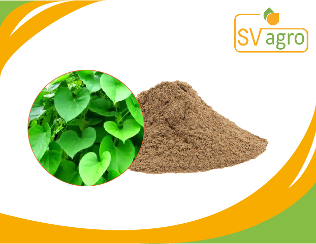 SV Agro Giloy Powder