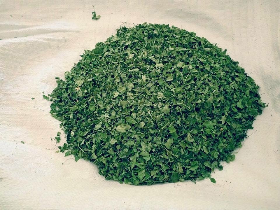 Loose Organis Moringa Powder Rs.260 per Kg