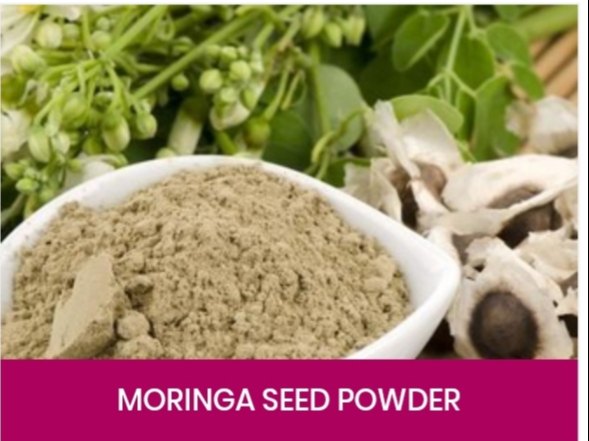 Worldliveexports Organic Moringa Seeds Powder, 2 Kg