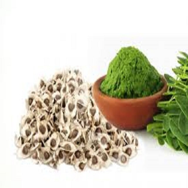 Moringa Seeds Powder