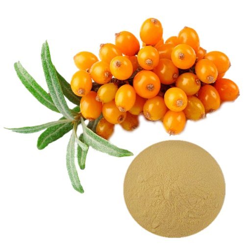 Organic Kreation Hippophae rhamnoides Sea Buckthorn Powder