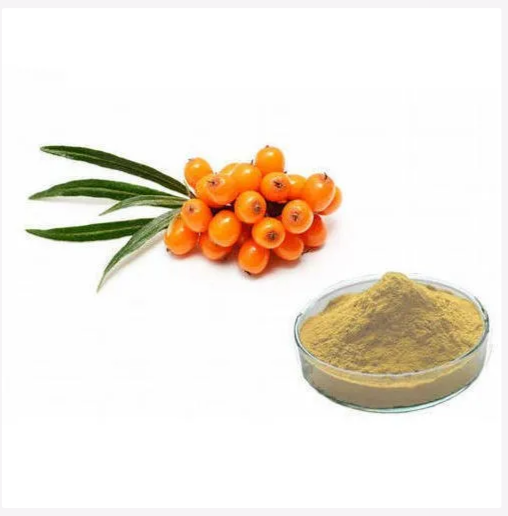 Seabuckthorn Extract Powder, 25 kg