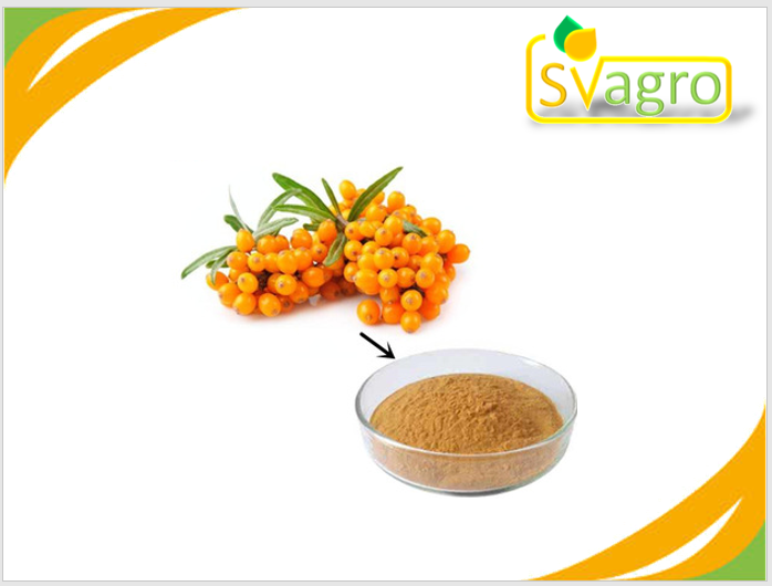 Sea Buckthorn extract