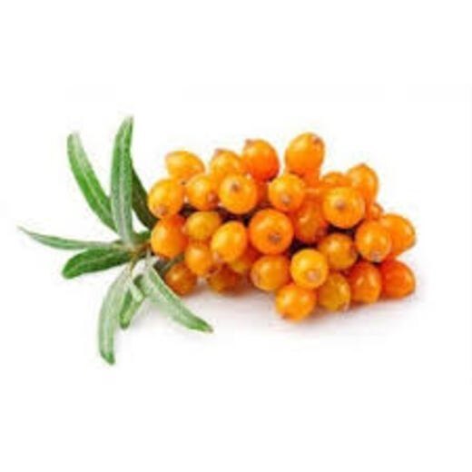 Junior Industries Sea Buckthorn Extract Powder, 250 Gm