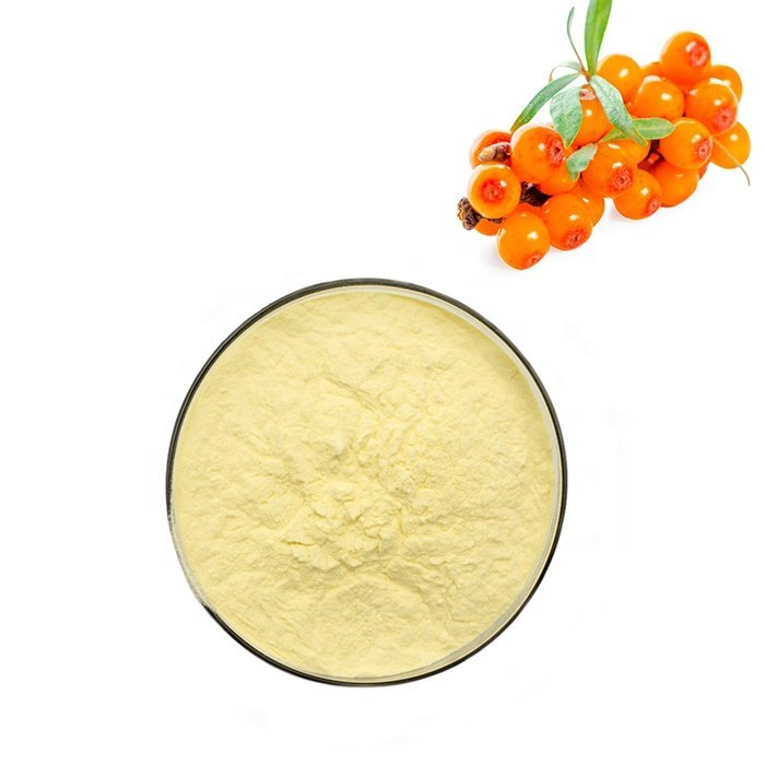 Sea BuckThorn Extracts Powder, Packaging Size: 25 kg