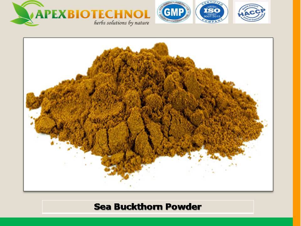 Sea Buckthorn Powder, Grade Standard: Food Grade , Packaging Type: HDPE Drum