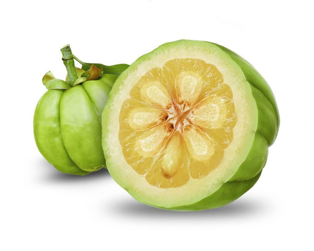 Off White Garcinia Cambogia 70% Extract, For Weight Loose, Packaging Type: Drums