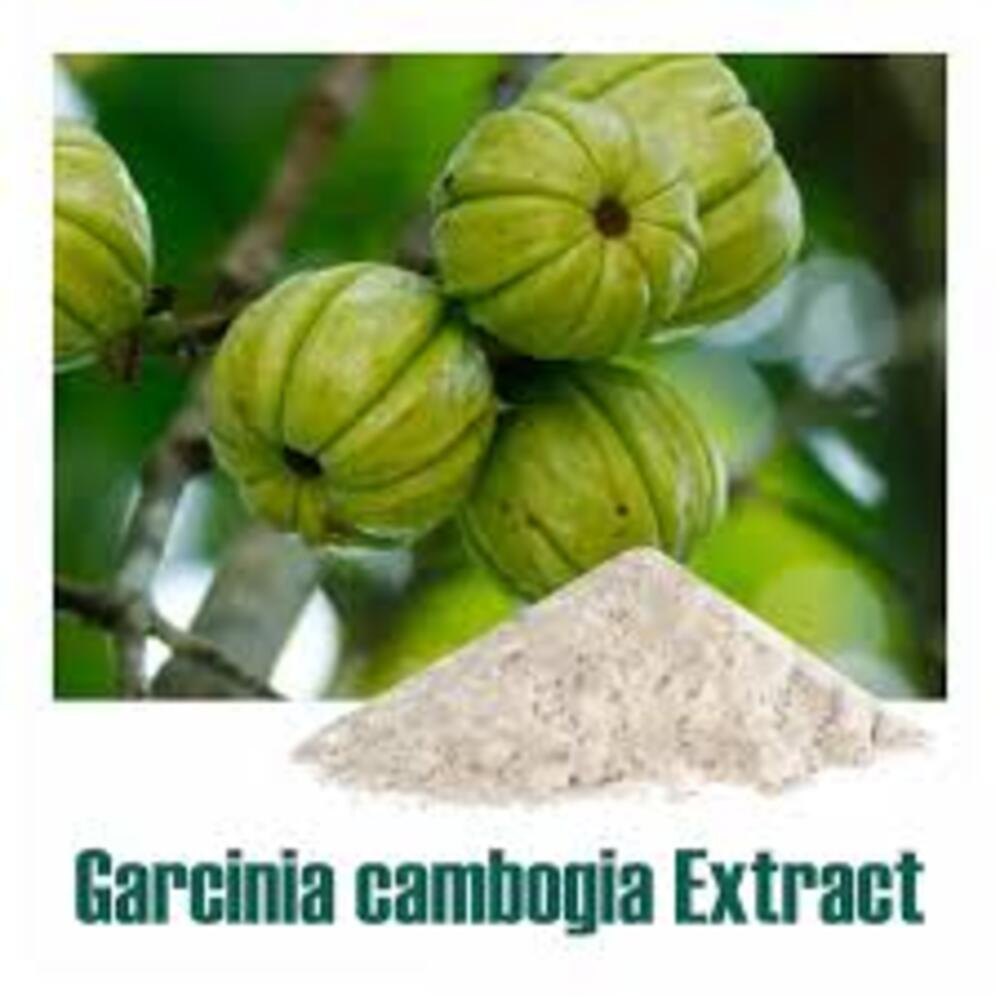 Garcinia Cambogia Extract, Packaging Size: 100 gm