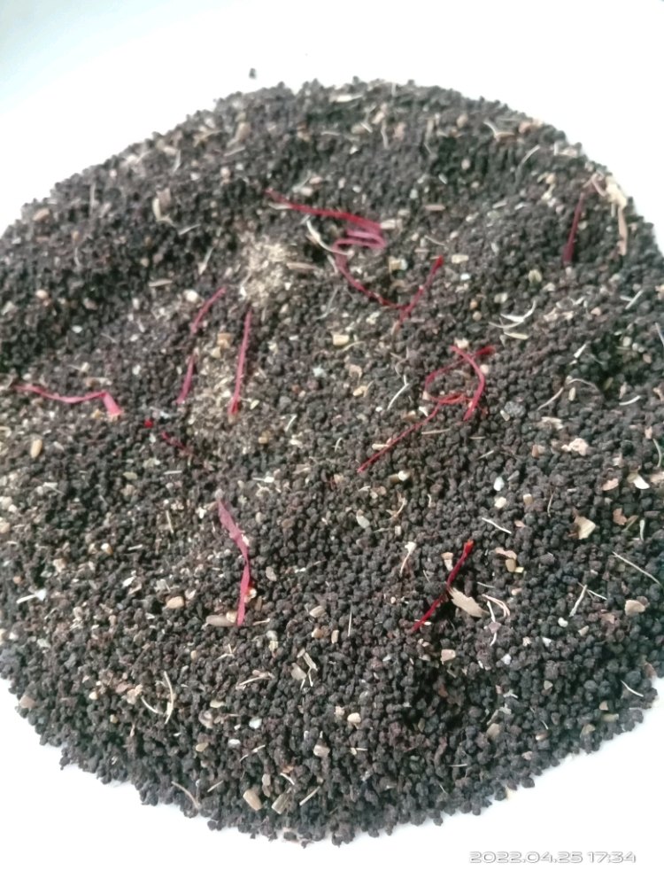 Masala Kesar Tea, Granules, Packaging Size: Loose