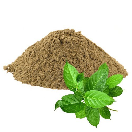 Sirukurinjan Leaf Powder, Packaging Type: PP Poly Bag, Packaging Size: 5 Kg