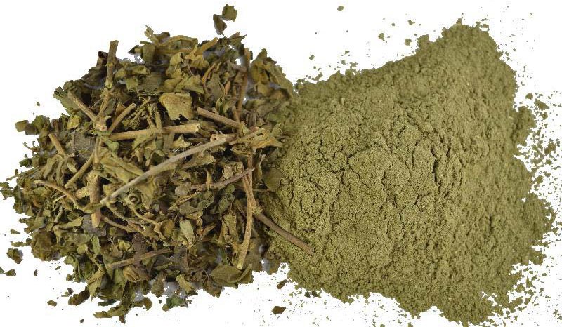 Gymnema Sylvestre Extract Powder, Packaging Type: HDPE Drums