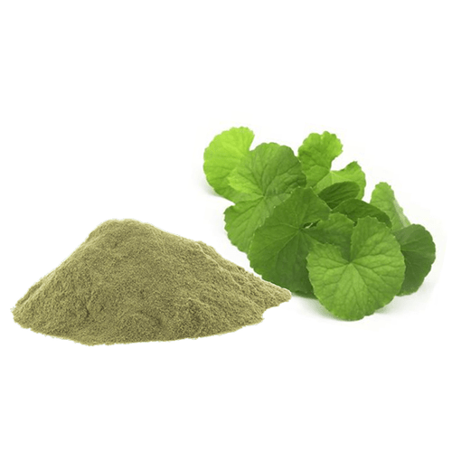 Kuppaimeni Powder, Packaging Type: PP Bag, Packaging Size: 25 Kg