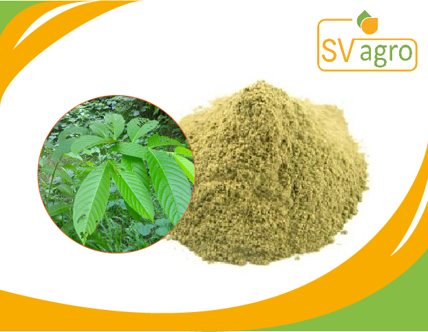 SV AGRO Banaba Extract, Pack Size: 25kg, Packaging Type: PP Polybags, Hdpe Drums