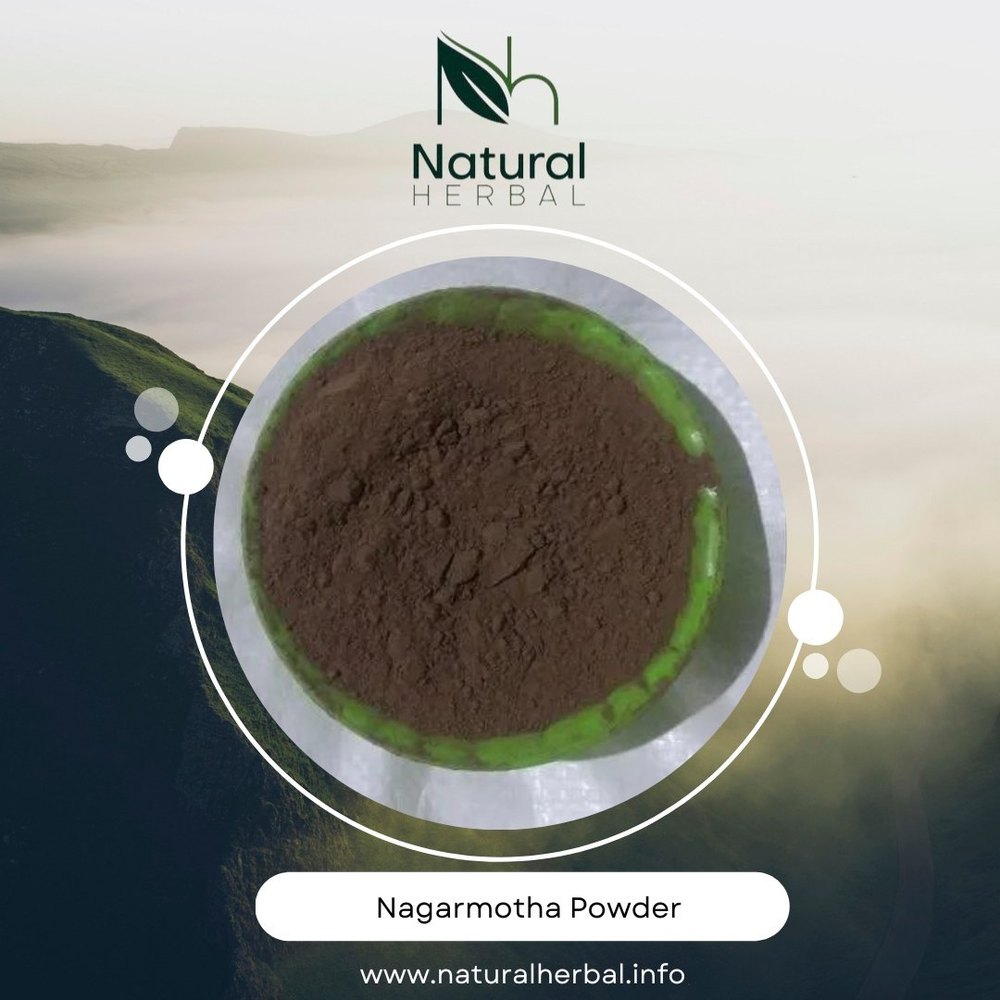 Natural Nagarmotha Powder, 5/10/25/50 kg Hdpe Bag, Non prescription