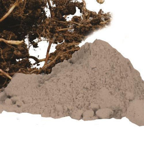 Nagarmotha Powder, 25 Kg, Non prescription