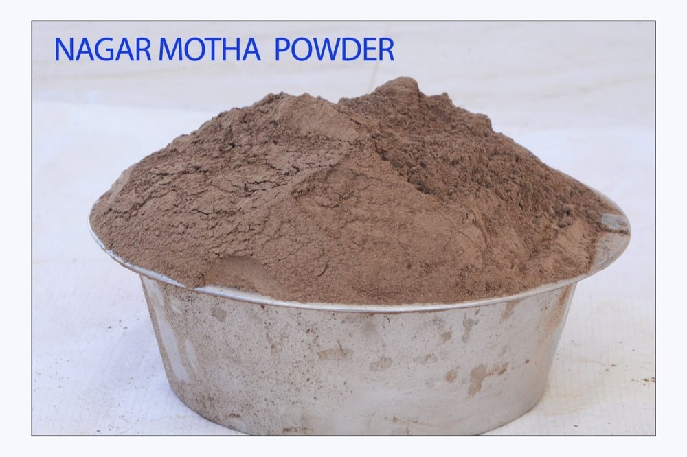 Nagarmotha Powder, Packaging Size: 25 kg