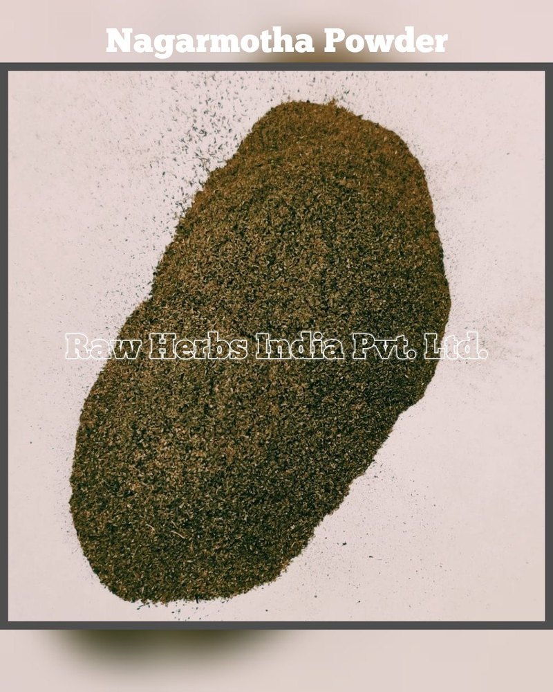 NAGARMOTHA ROOTS POWDER - NUTSEDGE GRASS POWDER