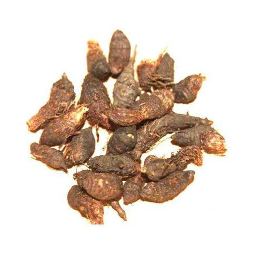 Nagarmota Powder