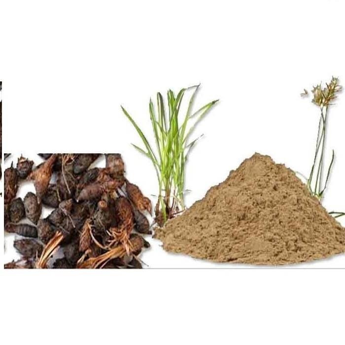 Nagarmotha Powder, Packaging Size: 25 kg