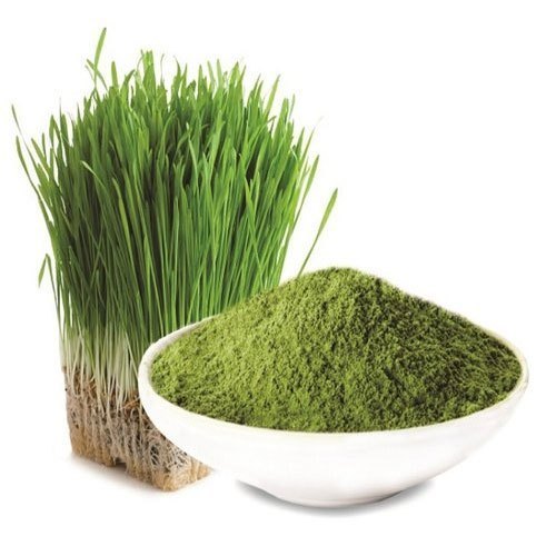 Organic Barley Grass Powder, Packaging Size: 100 gm