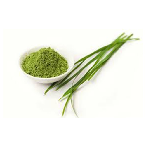 Himrishi Herbal Barley Grass Powder, Packaging Size: 1-25 Kg, Packaging Type: Poly Bag, Hdpe Drum