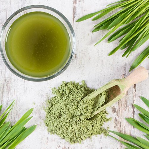 Navchetana Kendra Barley Grass Powder