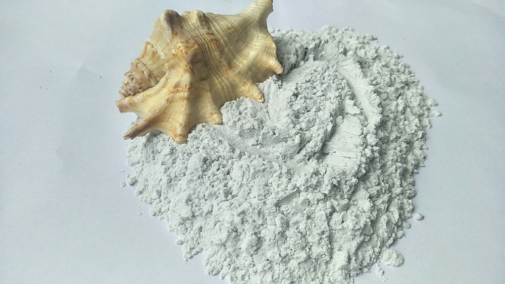 Shankh Bhasma, 1 kg, Prescription