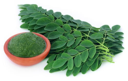 Green Moringa Leaves, for Medicine, Packaging Type: Packet
