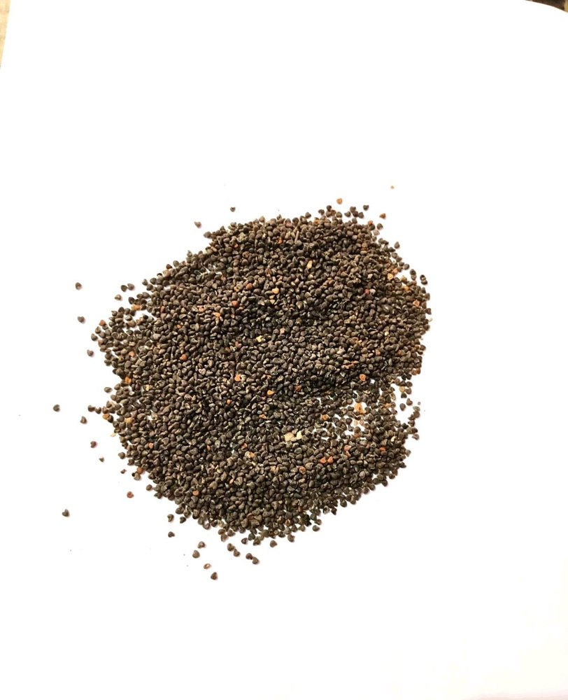 Sida Cardifolia Black Bala Beej Beej Band Kala(Sida Cordifolia) Seed, Packaging Type: Bag