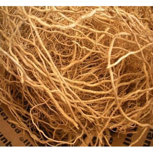 Vetiver Root, Packaging Type: Poly Bag, Packaging Size: 1 Kg